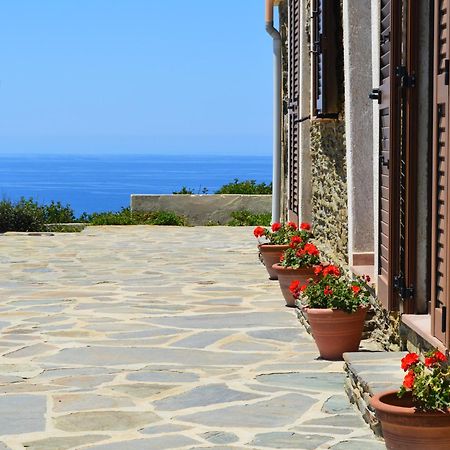 Agriturismo Finagliosu Palmadula Exteriör bild