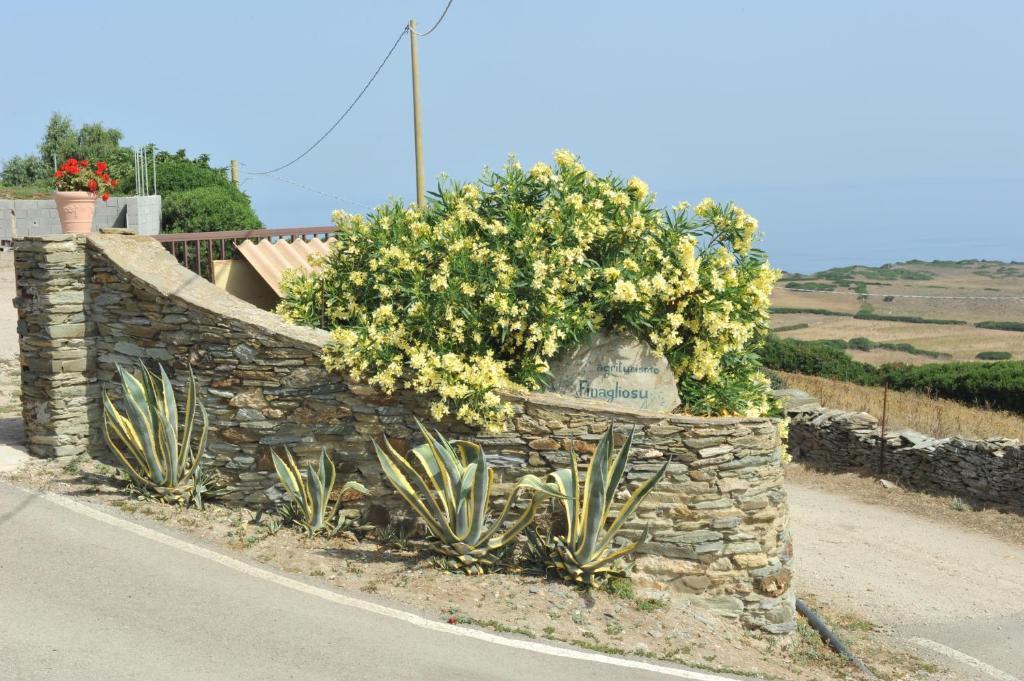 Agriturismo Finagliosu Palmadula Exteriör bild