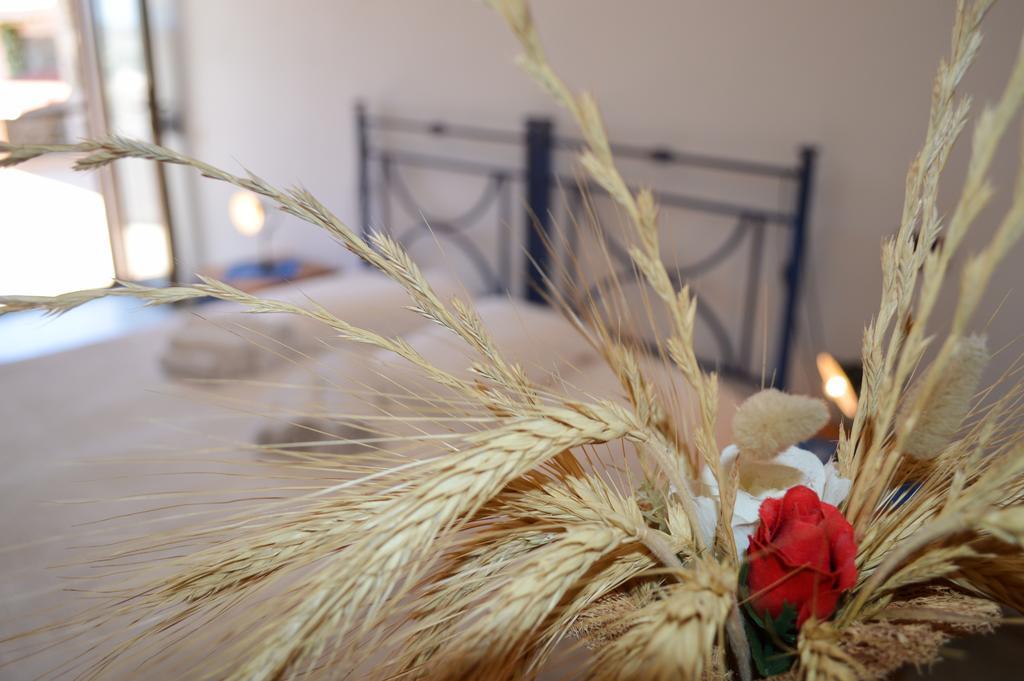 Agriturismo Finagliosu Palmadula Rum bild